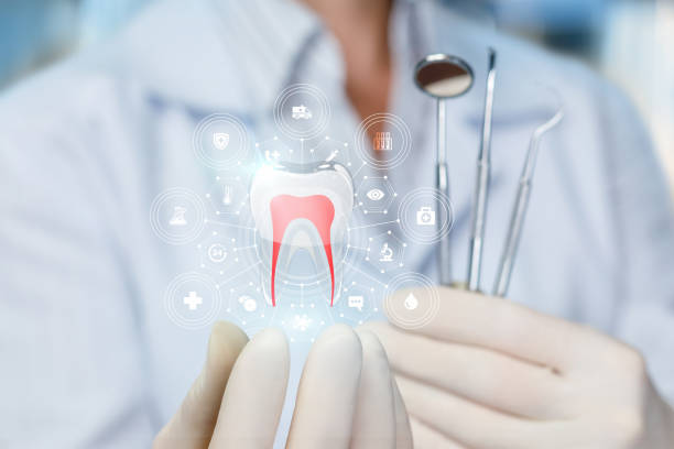 Best Cosmetic Dentistry  in Elton, LA